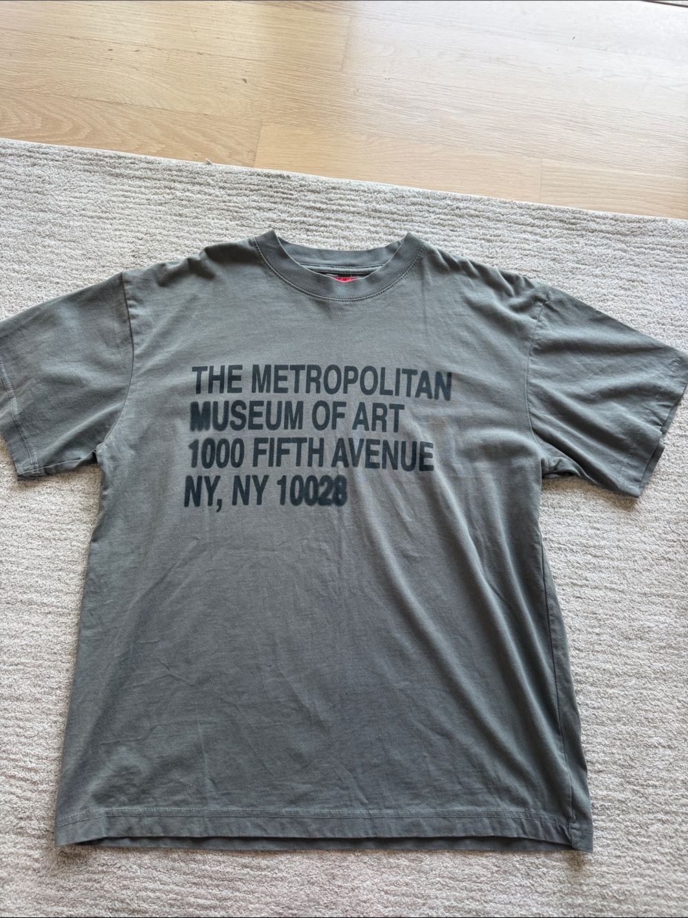 PacSun Men's Gray The Metropolitan Museum of Art Graphic Tee